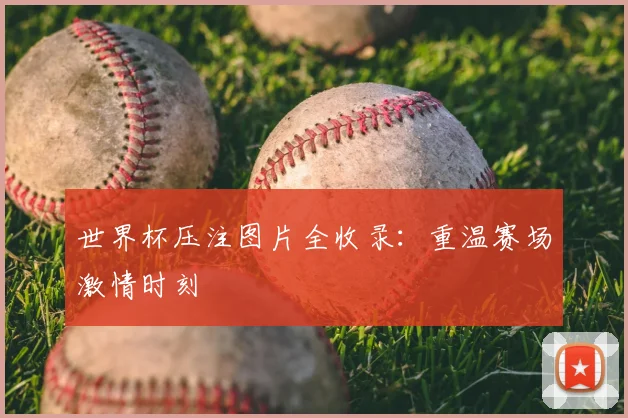 世界杯压注图片全收录:重温赛场激情时刻