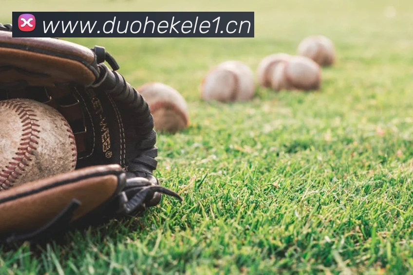 星空官方网页版登录平台生态图